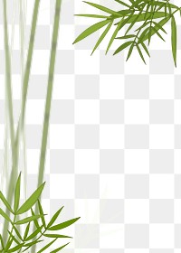 Bamboo png border, transparent background