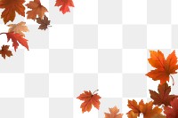 Maple leaf png border, transparent background