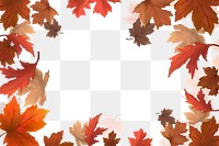 Maple leaf png border, transparent background