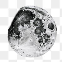 Moon png element, transparent background