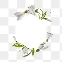 Aesthetic flower png frame, transparent background