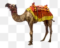 Camel train png sticker, transparent background