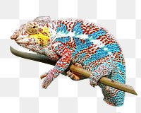 PNG Iguana lizard, collage element, transparent background