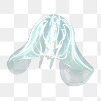 Floating jellyfish png, transparent background