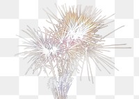 PNG Festive fireworks, collage element, transparent background
