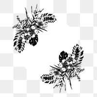 Png monotone floral frame, transparent background