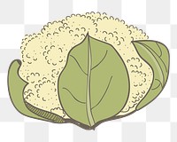 Cauliflower png vegetable sticker, transparent background