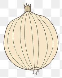 Onion png vegetable sticker, transparent background