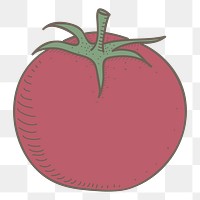 Tomato png vegetable sticker, transparent background