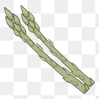 Asparagus png vegetable sticker, transparent background