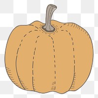 Pumpkin png vegetable sticker, transparent background