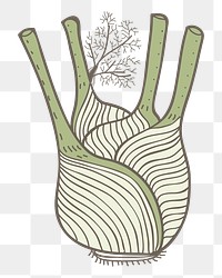 Fennel png vegetable sticker, transparent background