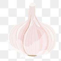 Onion png vegetable sticker, transparent background