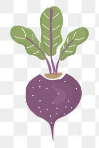 Beet png vegetable sticker, transparent background