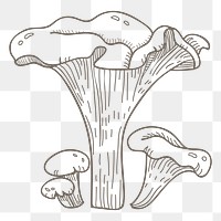 Mushroom png vegetable, transparent background