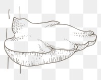 Mushroom png line art, transparent background