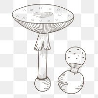 Mushroom png vegetable, transparent background