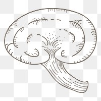 Mushroom png vegetable, transparent background