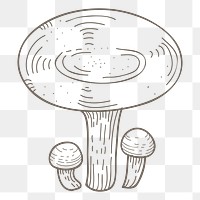 Mushroom png vegetable, transparent background