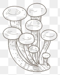 Mushroom png line art, transparent background