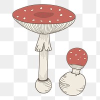 Mushroom png fungi sticker, transparent background