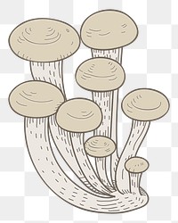 Mushroom png vegetable sticker, transparent background