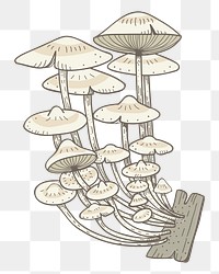 Mushroom png healthy food sticker, transparent background