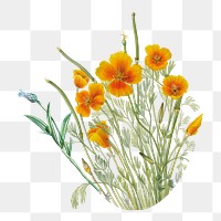 Autumn wildflower png element, transparent background