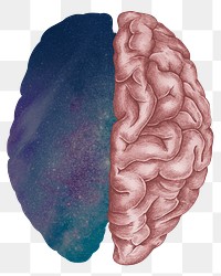 Surreal galaxy human brain png, transparent background