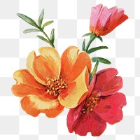 Spring flowers png element, transparent background