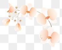 Png geometric orchid flower illustration, transparent background