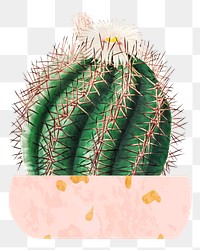 Cute potted watercolor cactus png illustration element, transparent background