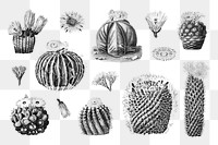 PNG Black & white cactus illustration set, transparent background