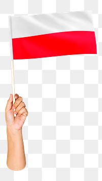 Poland's flag png in hand on transparent background