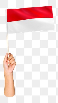 Monaco's flag png in hand on transparent background