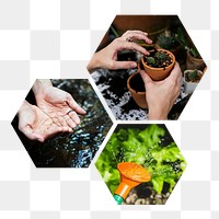 Gardening activity  png hexagonal sticker, transparent background