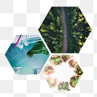 Environmental preservation png hexagonal sticker, transparent background