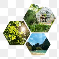 Png beautiful natural sights hexagonal sticker, transparent background