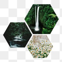 Beautiful scenery  png hexagonal sticker, transparent background