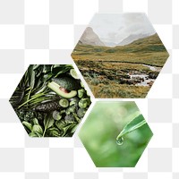 Natural resources png hexagonal sticker, transparent background