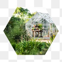 Glass greenhouse  png hexagonal sticker, transparent background