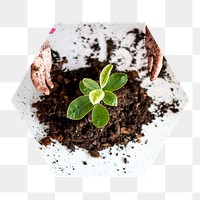 Png child planting tree hexagonal sticker, transparent background