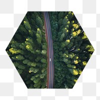 Png road through the woods hexagonal sticker, transparent background