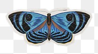 PNG blue vintage butterfly insect sticker with white border, transparent background