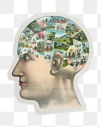 PNG human mind sticker with white border,  transparent background