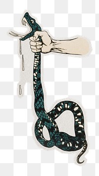 PNG hand squeezing venomous snake's neck sticker with white border,  transparent background.