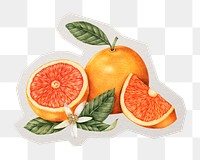 PNG vintage orange sticker with white border, transparent background