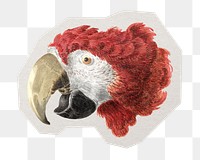 PNG Macaw bird sticker with white border, transparent background