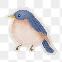 PNG Blue bird  sticker  white border, transparent background