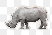 PNG white rhinoceros sticker  white border, wildlife, transparent background